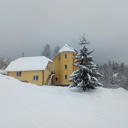 Guest House Magnat Verkhne-Studenyy المظهر الخارجي الصورة